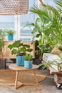 ELHO OCEAN КРУГЛЫЙ АТЛАНТИЧНО-СИНИЙ КРЫШКА 18 СМ