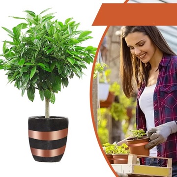 ЛЕНТА САМОКЛЕЯЩАЯСЯ МЕДНАЯ ОТ ОТПУСКА УЛИТОК, 30м