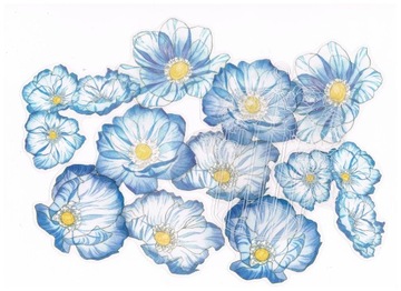 NAKLEJKI OZDOBNE SCRAPBOOKING KWIATY 10SZT