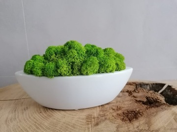 Вазон-лодочка со мхом, Бабушкин день