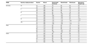 Женские мотоциклетные брюки BMW GS Rallye GTX GORE TEX, размер 38