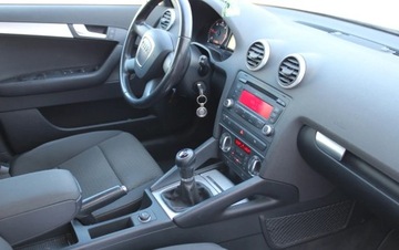 Audi A3 8P Hatchback 3d 1.6 102KM 2010 AUDI A3 1.6 102 KM