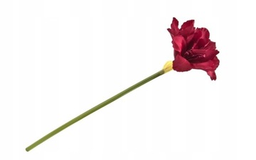 Amarylis bordo bordowy piękny jak żywa 64 cm gałązka