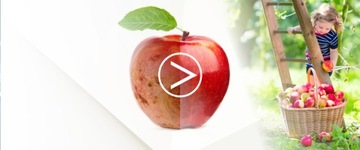 ЭФФЕКТИВНАЯ ДОРОЖНАЯ СОЛЬ ХЛОРИД КАЛЬЦИЯ Противообледенительная Снег CIECH 25кг