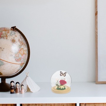 Обложки с стабилизированными цветами в форме глобуса