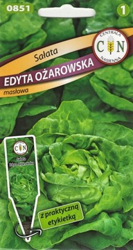 Sałata Edyta Ożarowska b.smaczna masłowa zdrowa