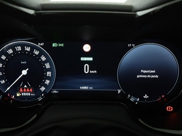 Alfa Romeo Tonale 2022 Alfa Romeo Tonale mHEV automat full LED skóra, zdjęcie 21