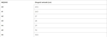 Japonki męskie klapki 4F wygodna pianka 40