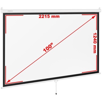 Экран проектора Полуавтоматический Настенный Потолок 100 дюймов 229,5х145 см