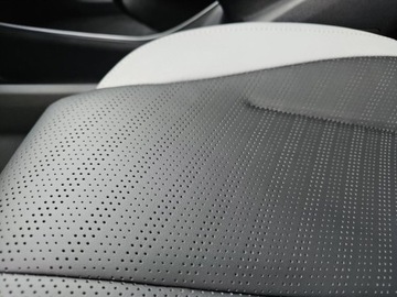 BYD 2025 BYD Dolphin Surf Elektryczny 88KM, zdjęcie 22