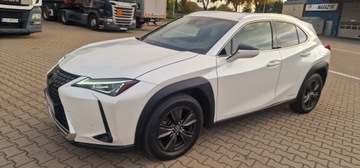 Lexus UX Crossover 250h 184KM 2019