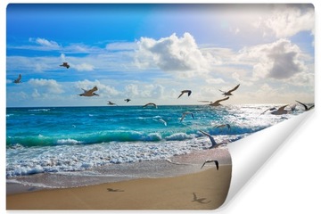 Fototapeta 3D do salonu plaża morze ptaki 300x450