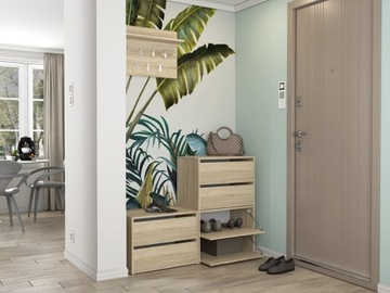 СОВРЕМЕННЫЙ ШКАФ ДЛЯ ОБУВИ ЗАКРЫВАЕМЫЙ