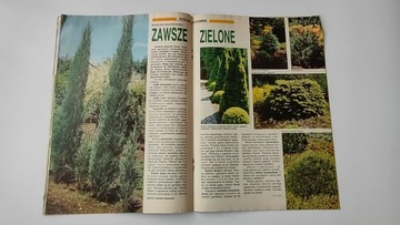 Дзялковец 9 1994 г.