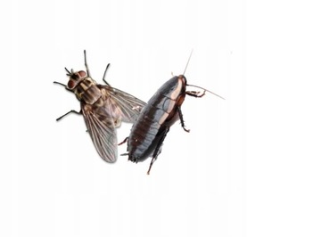 СРЕДСТВО ОТ НАСЕКОМЫХ - PERME PLUS 250 МЛ