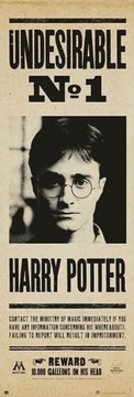 Plakat Harry Potter Undesirable list gończy 53x158