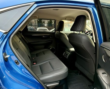 Lexus NX I 2020 Lexus NX 300h,Hybryda,4x4,Europa, zdjęcie 11