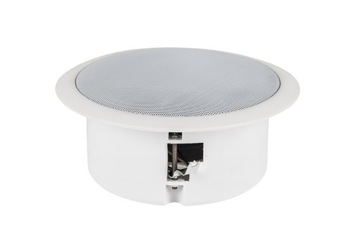 Потолочный динамик DBS-32018