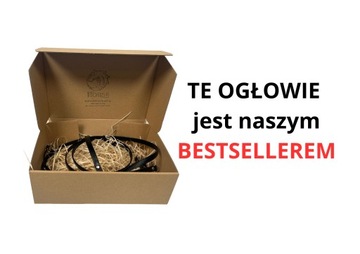 Западная уздечка - лошадь-любитель