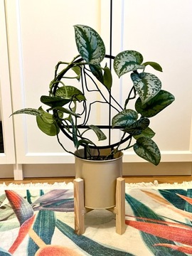 Опоры для цветов, растений, лестница-подставка, YOGABODY L 40см, цвета