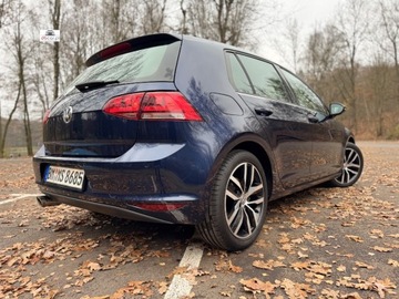 Volkswagen Golf VII Hatchback 3d 1.4 TSI BlueMotion Technology 150KM 2014 Volkswagen Golf 1.4 TSI 150KM, highline, skora, GRZANE FOTELE, polecam 1.4, zdjęcie 2