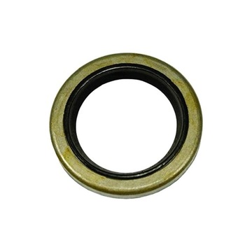Simering briggs 299819, 89660 SPRINT, CLASSIC