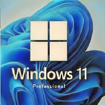 System operacyjny Microsoft Windows 11 PRO PROFESSIONAL 1PC PL