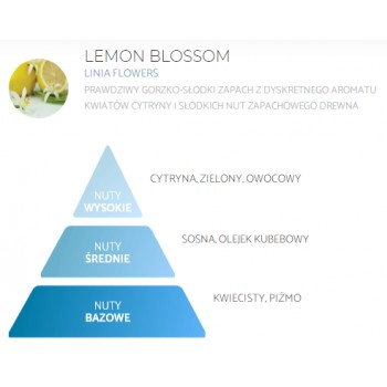 ОСВЕЖИТЕЛЬ-спрей 250 мл - LEMON BLOSSOM SPRING AIR