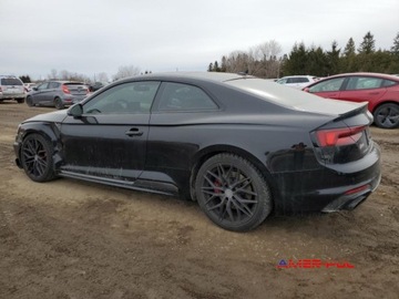 Audi A5 F5 2019 Audi RS5 Coupe 2019 2.9L TFSI 6 Cylinder 24-Valves quattro 2.9 Benzyna, zdjęcie 2