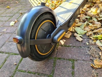 Zestaw MUST HAVE akcesoria Motus Scooty 10
