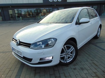 Volkswagen Golf VII Hatchback 3d 1.6 TDI BlueMotion 110KM 2015 VW GOLF 7 1.6 TDI 110 PS NAVI ALU TEMPOMAT KLIMATRONIC GRZANE FOTELE, zdjęcie 6