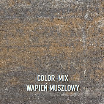 Ś BRUK-BET NOVATOR 30X60 Террасная плита COLOR-MIX