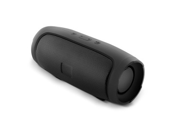 ПОРТАТИВНОЕ БЕСПРОВОДНОЕ FM-РАДИО С Bluetooth-ДИНАМИКОМ