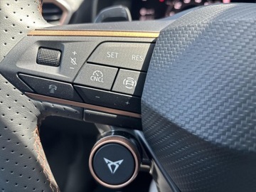 Cupra Formentor 2024 Cupra Formentor 2.0 TSI 333KM VZ 4Drive 7-biegowa, zdjęcie 21