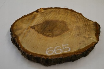 Срез каштана 52x43см, толщина 5см, деревянная столешница