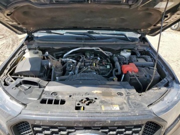 Ford Ranger VI 2023 Ford Ranger XL 2023 2.3l 2.3 Benzyna 270KM, zdjęcie 6