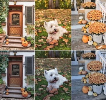 Пресеты для Adobe Lightroom для любого устройства Супер теплые осенние цвета