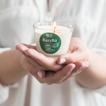 Basil Element 100 ml