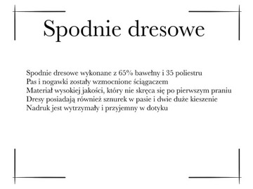 SPODNIE DRESOWE AUDI DRESY MĘSKIE BAWEŁNIANE L