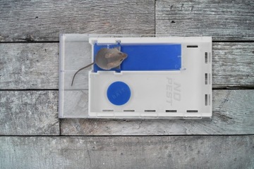 ЛОВУШКА CATCH LIFE ЛОВУШКА МЫШЕЛОВКА ГРЫЗУНЫ NO PEST MOUSE CATCH&GO