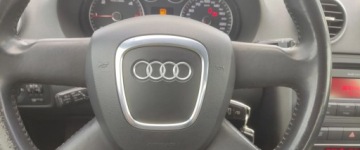 Audi A3 8P Hatchback 3d 1.9 TDI 105KM 2009 Audi A3 Sportback 1.9 TDI ,BEZWYPADEK,zadbany 1.9 Diesel 105KM, zdjęcie 12