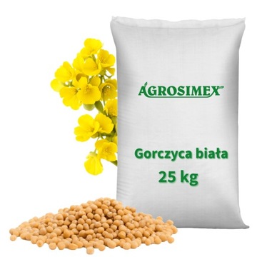 GORCZYCA BIAŁA 25KG CZYSTA na poplon NASIONA WYSOKIEJ JAKOŚCI AGROSIMEX