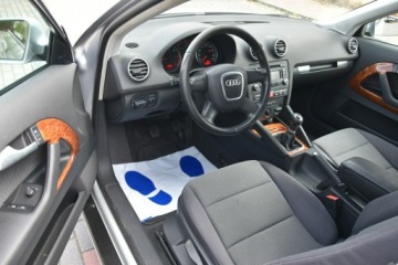 Audi A3 8P Hatchback 3d 1.9 TDI 105KM 2008 Audi A3 3-drzwiowe 1.9TDi 105KM 2008r. Klima, zdjęcie 13
