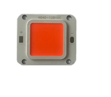 LED COB Czerwona 30/50W 25-32V + Pasta