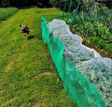 ПЛАСТИКОВАЯ САДОВАЯ СЕТКА, ПВХ, 0,4 х 50 м