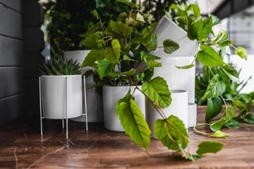 БЕЛАЯ СОВРЕМЕННАЯ КЕРАМИЧЕСКАЯ КРЫШКА ДЛЯ ЦВЕТОЧНОГО ВАЗОНА - ЦИЛИНДР 8X8 СМ