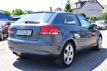 Audi A3 8P Hatchback 3d 1.9 TDI 105KM 2005 Audi A3 1.9 TDI, 3-drzwi, Sprowadzony, Ekonomi..., zdjęcie 8