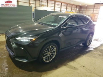 Lexus NX II 2022 Lexus NX 350 2022 2.4 Benzyna 275KM