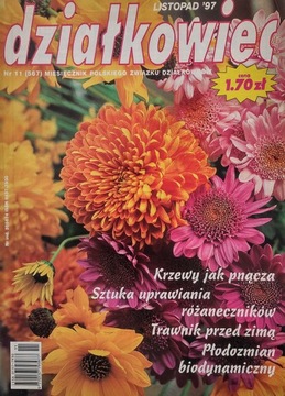 Działkowiec 11 1997