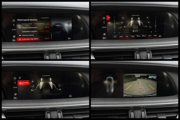 Alfa Romeo Stelvio SUV Facelifting 2.0 Turbo 200KM 2021 Alfa Romeo Stelvio WD4400S#2.0 Turbo TI Q4, zdjęcie 20